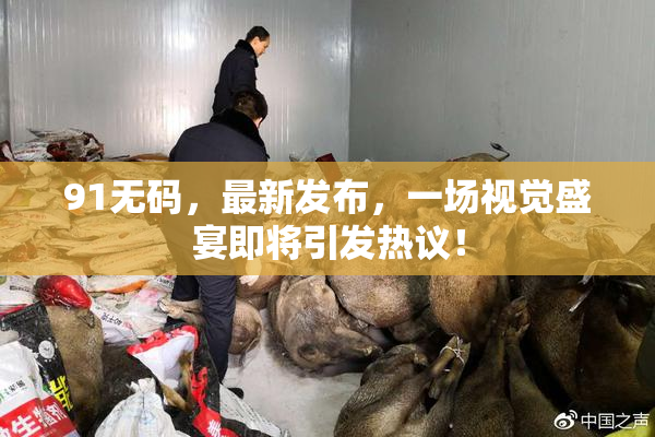 91无码，最新发布，一场视觉盛宴即将引发热议！