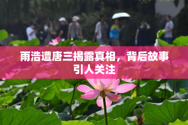 雨浩遭唐三揭露真相，背后故事引人关注