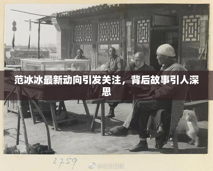 范冰冰最新动向引发关注，背后故事引人深思