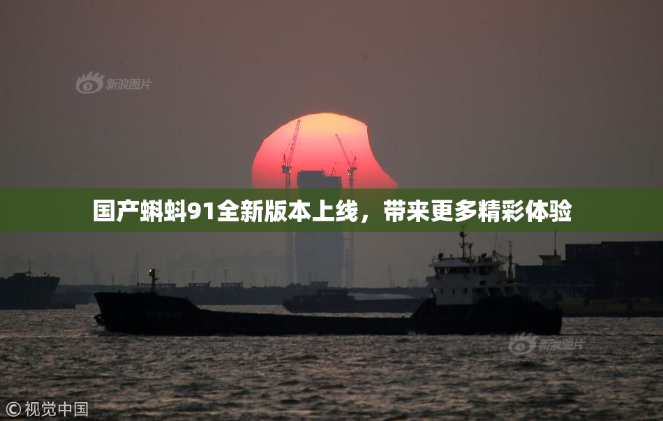 国产蝌蚪91全新版本上线，带来更多精彩体验