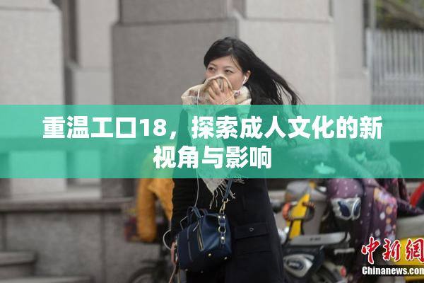 重温工口18，探索成人文化的新视角与影响