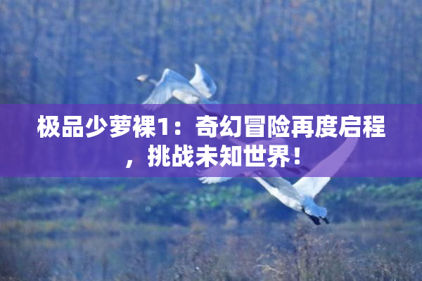 极品少萝裸1：奇幻冒险再度启程，挑战未知世界！