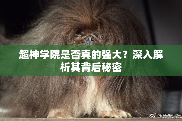 超神学院是否真的强大？深入解析其背后秘密
