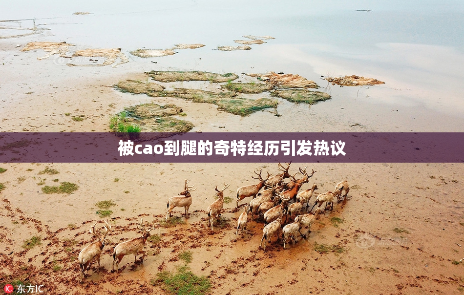 被cao到腿的奇特经历引发热议