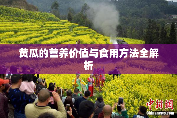 黄瓜的营养价值与食用方法全解析