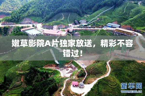 嫩草影院A片独家放送，精彩不容错过！