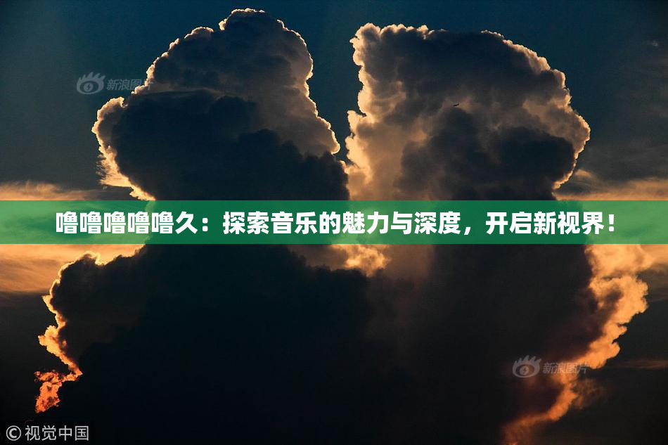 噜噜噜噜噜久：探索音乐的魅力与深度，开启新视界！