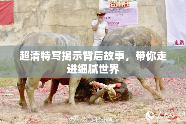 超清特写揭示背后故事，带你走进细腻世界