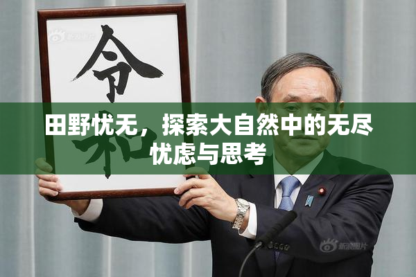 田野忧无，探索大自然中的无尽忧虑与思考