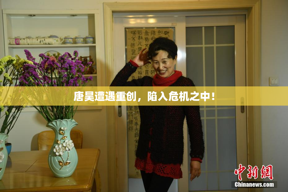 唐昊遭遇重创，陷入危机之中！