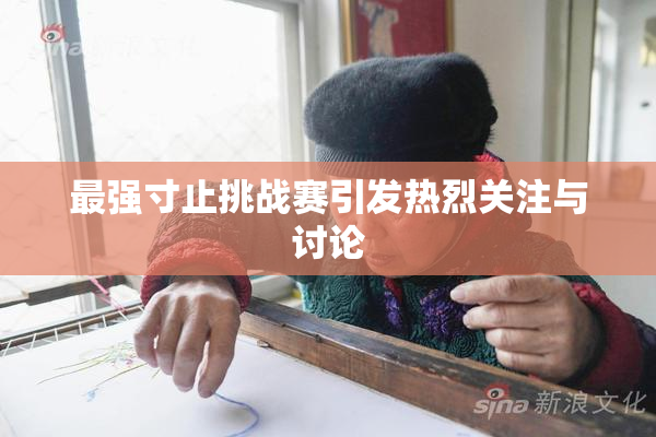 最强寸止挑战赛引发热烈关注与讨论