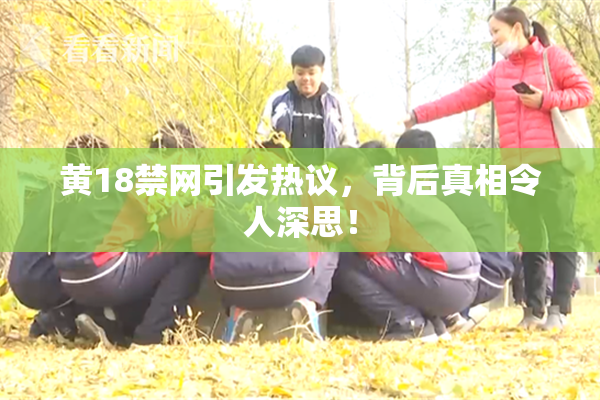 黄18禁网引发热议，背后真相令人深思！