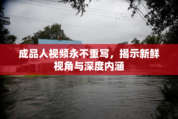 成品人视频永不重写，揭示新鲜视角与深度内涵