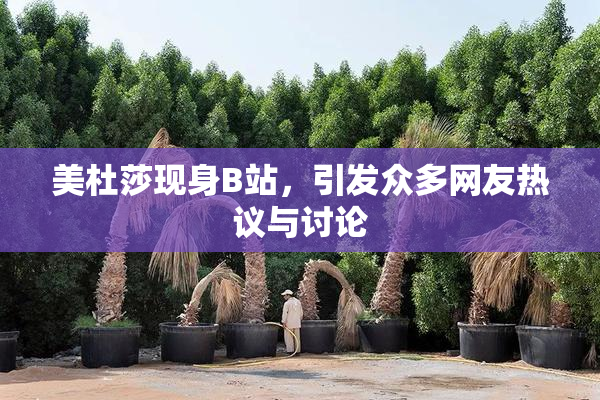 美杜莎现身B站，引发众多网友热议与讨论
