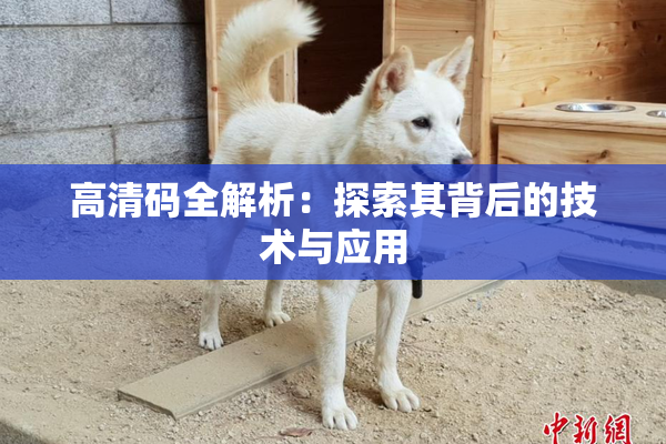 高清码全解析：探索其背后的技术与应用
