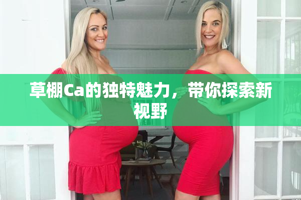 草棚Ca的独特魅力，带你探索新视野