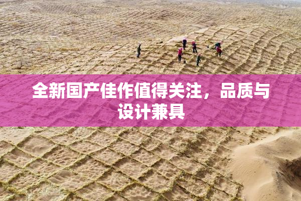 全新国产佳作值得关注，品质与设计兼具