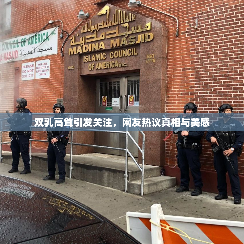 双乳高耸引发关注，网友热议真相与美感