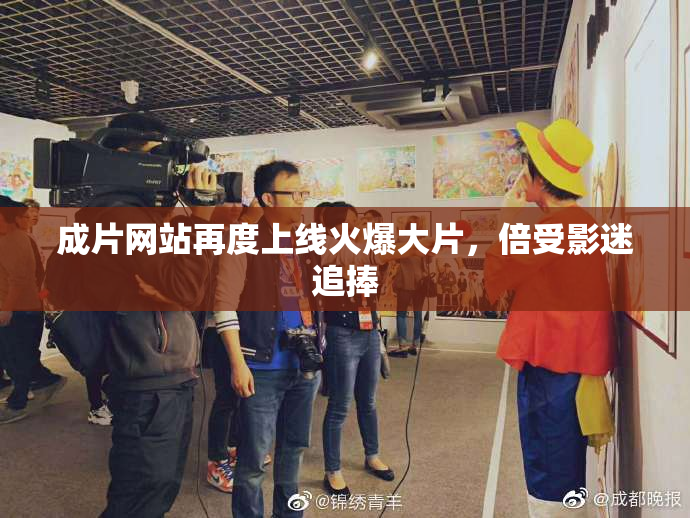 成片网站再度上线火爆大片，倍受影迷追捧