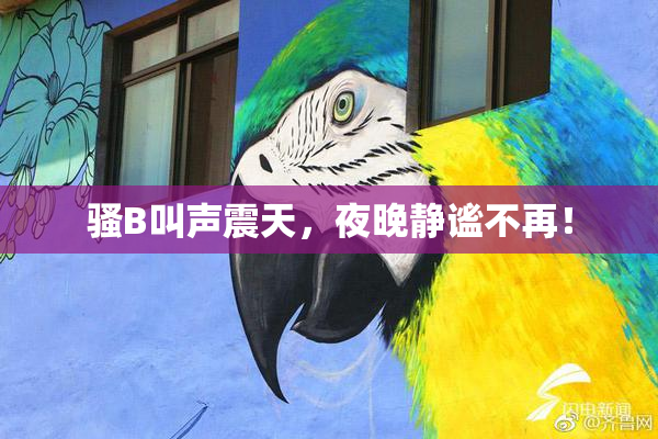 骚B叫声震天，夜晚静谧不再！
