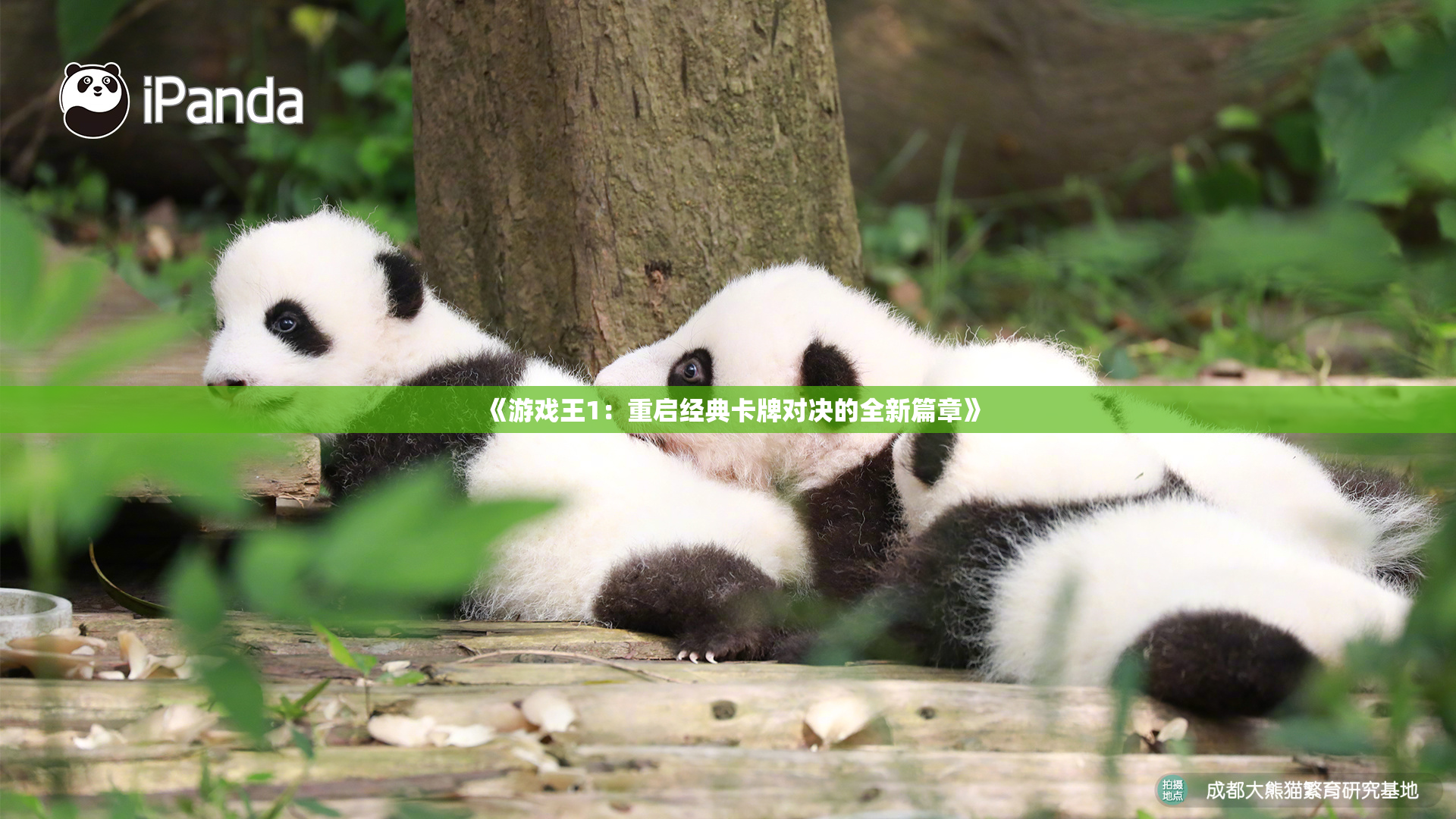 《游戏王1：重启经典卡牌对决的全新篇章》