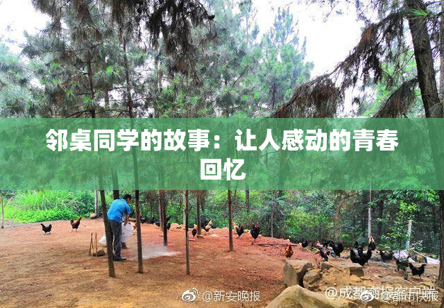 邻桌同学的故事：让人感动的青春回忆