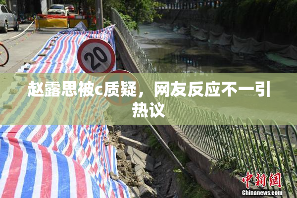 赵露思被c质疑，网友反应不一引热议