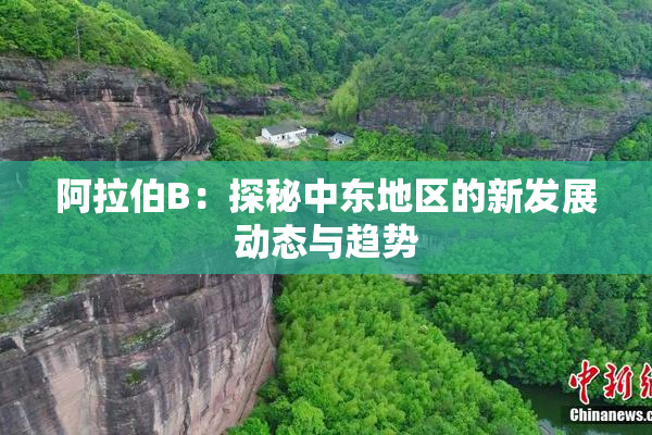 阿拉伯B：探秘中东地区的新发展动态与趋势