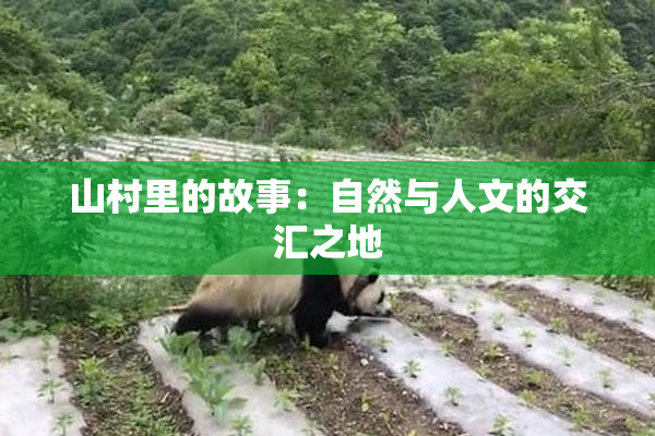 山村里的故事：自然与人文的交汇之地