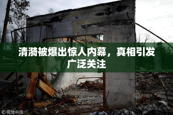 清漪被爆出惊人内幕，真相引发广泛关注