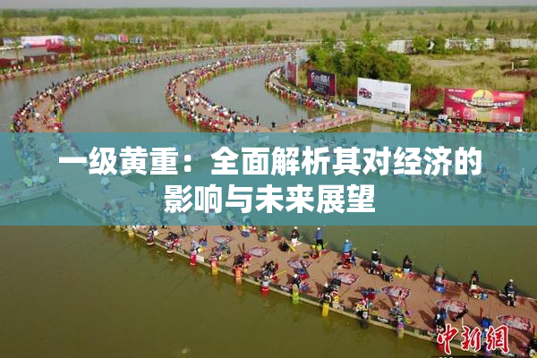 一级黄重：全面解析其对经济的影响与未来展望