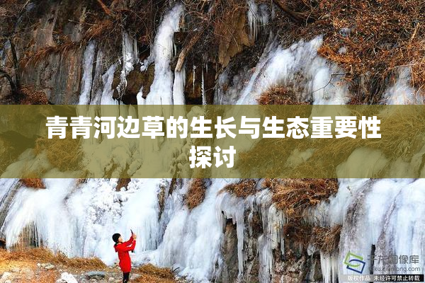 青青河边草的生长与生态重要性探讨