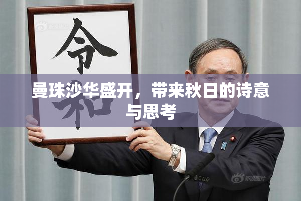曼珠沙华盛开，带来秋日的诗意与思考