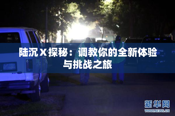 陆沉Ⅹ探秘：调教你的全新体验与挑战之旅