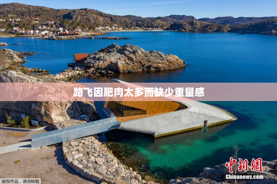 路飞因肥肉太多而缺少重量感