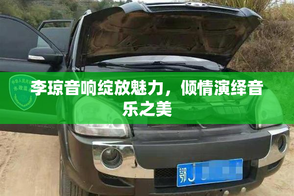 李琼音响绽放魅力，倾情演绎音乐之美