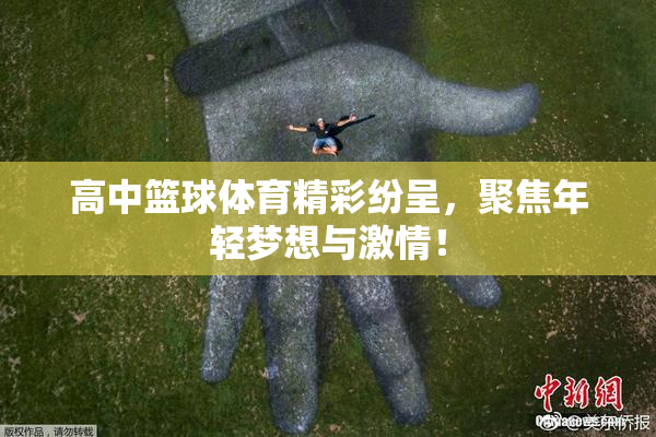 高中篮球体育精彩纷呈，聚焦年轻梦想与激情！
