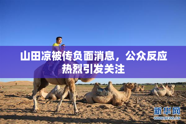 山田凉被传负面消息，公众反应热烈引发关注