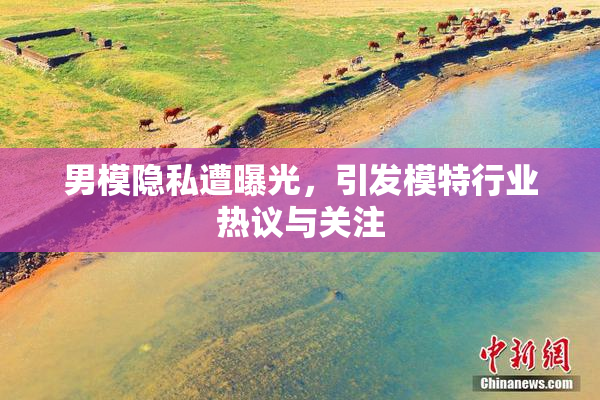 男模隐私遭曝光，引发模特行业热议与关注