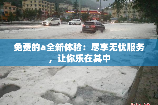 免费的a全新体验：尽享无忧服务，让你乐在其中