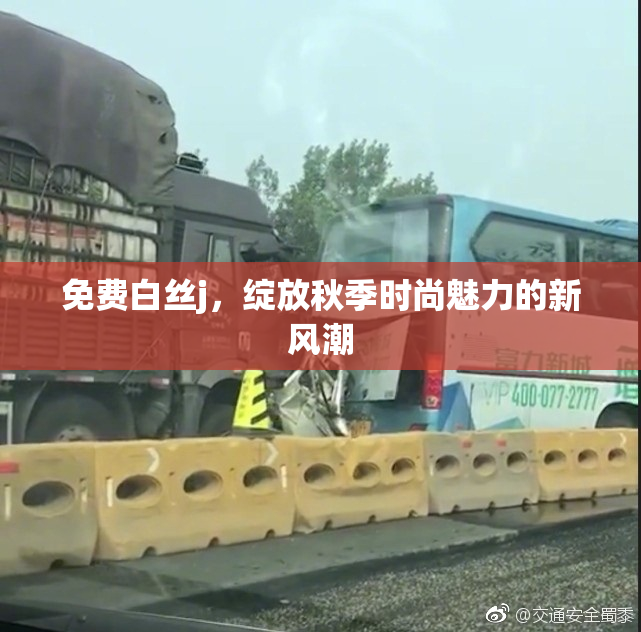 免费白丝j，绽放秋季时尚魅力的新风潮