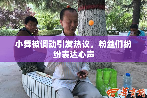 小舞被调动引发热议，粉丝们纷纷表达心声