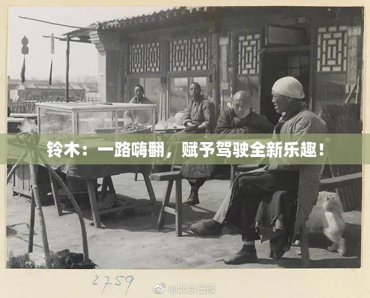 铃木：一路嗨翻，赋予驾驶全新乐趣！