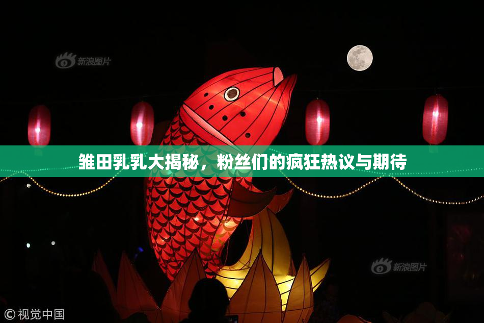 雏田乳乳大揭秘，粉丝们的疯狂热议与期待