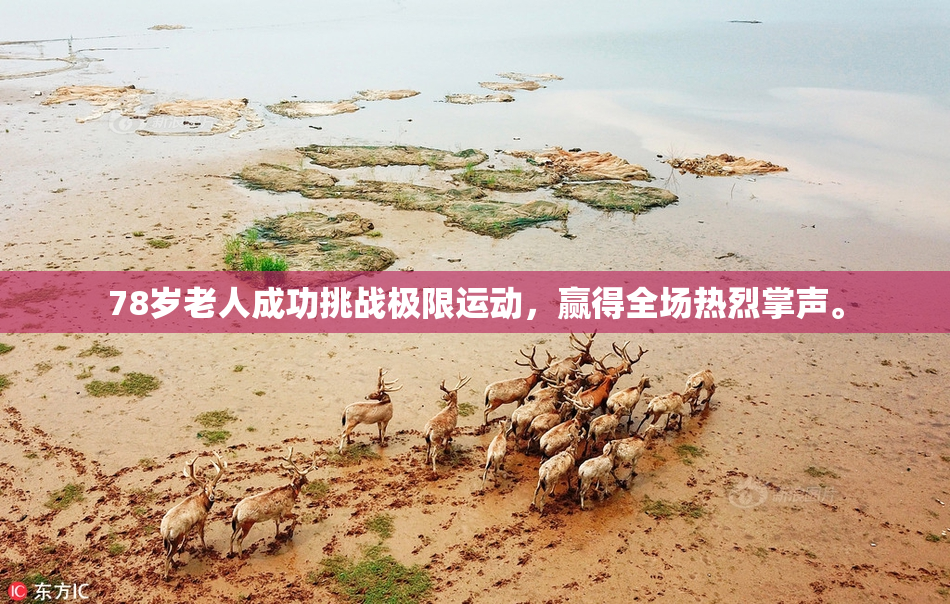 78岁老人成功挑战极限运动，赢得全场热烈掌声。