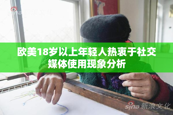 欧美18岁以上年轻人热衷于社交媒体使用现象分析