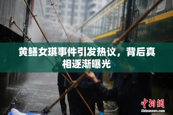黄鳝女琪事件引发热议，背后真相逐渐曝光