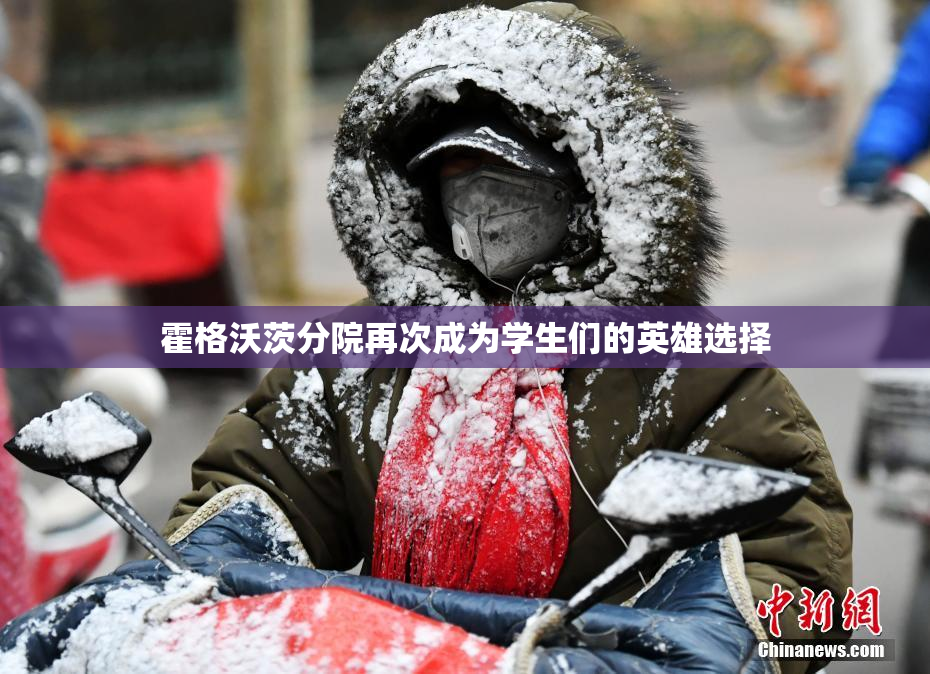 霍格沃茨分院再次成为学生们的英雄选择