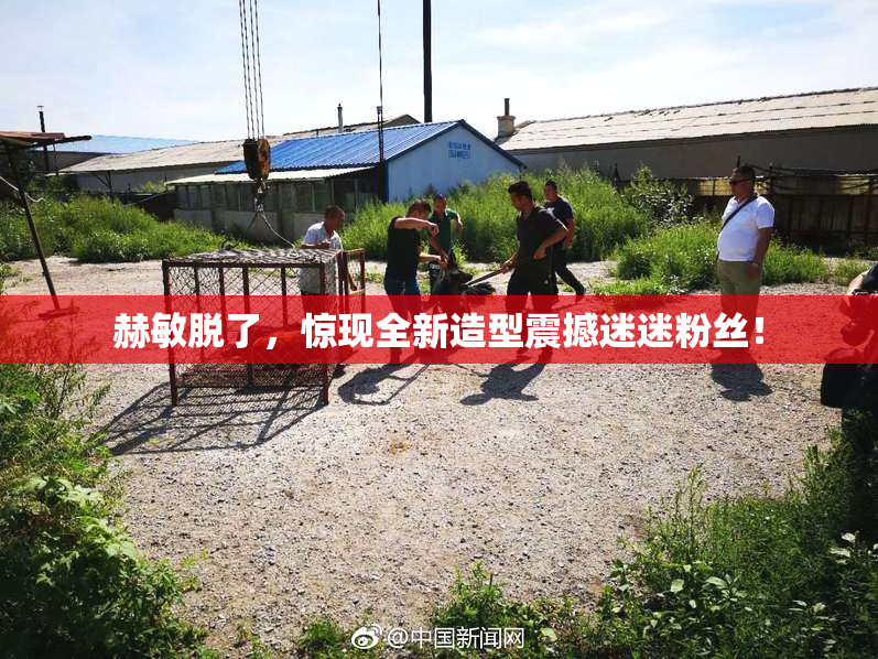 赫敏脱了，惊现全新造型震撼迷迷粉丝！