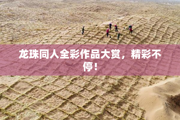 龙珠同人全彩作品大赏，精彩不停！